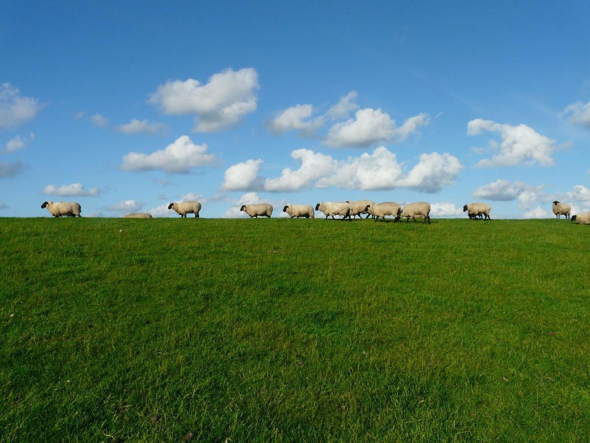 Nordsee Ferienwohnung Nord 多纳莫塞尔 外观 照片